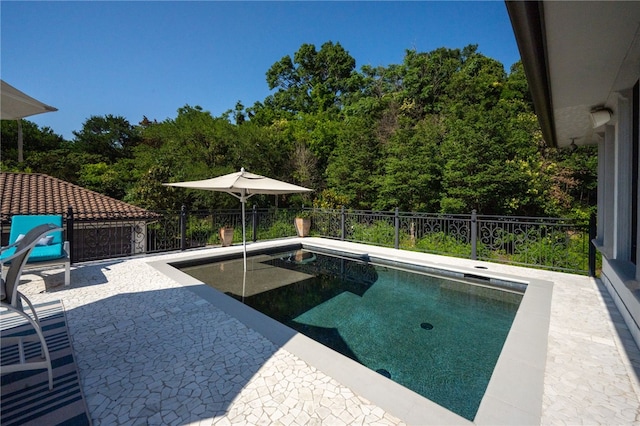 view of swimming pool with a patio area