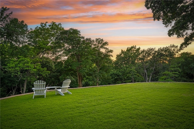 view of yard at dusk