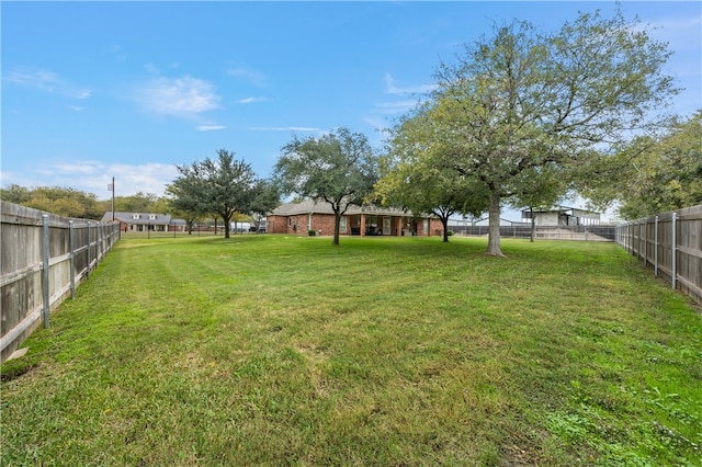 view of yard