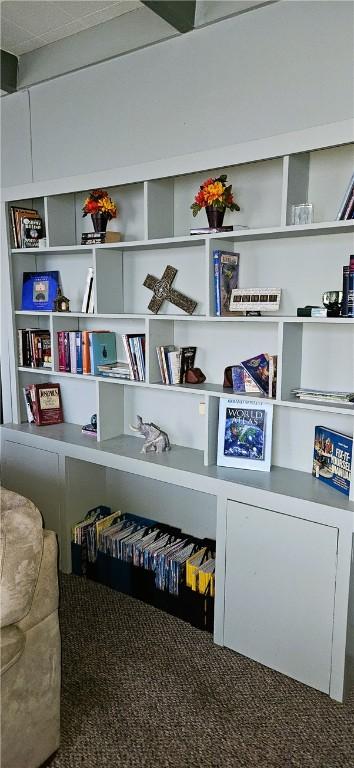 miscellaneous room with carpet floors