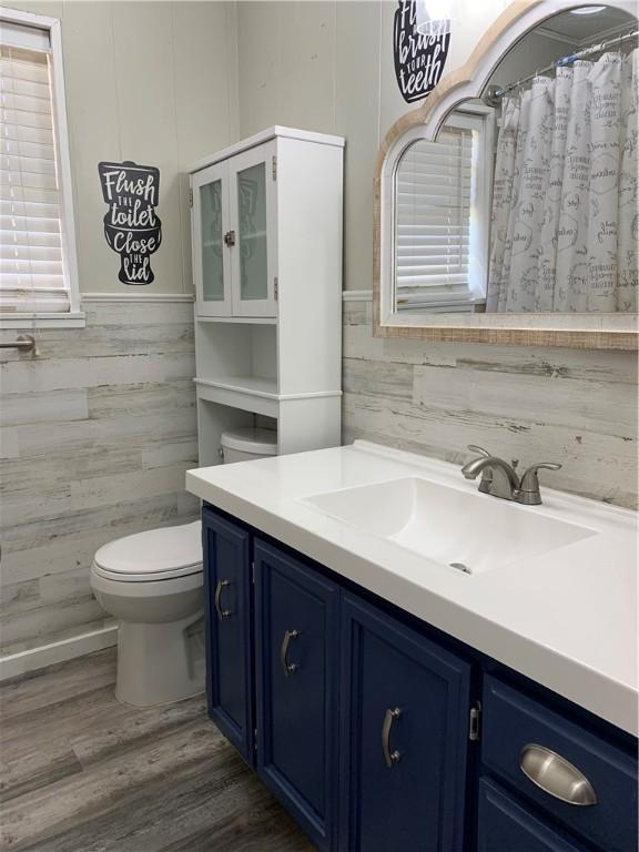 bathroom with toilet, vanity, and wood-type flooring