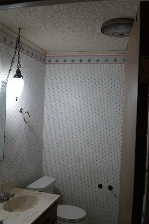 bathroom featuring vanity, toilet, and a textured ceiling