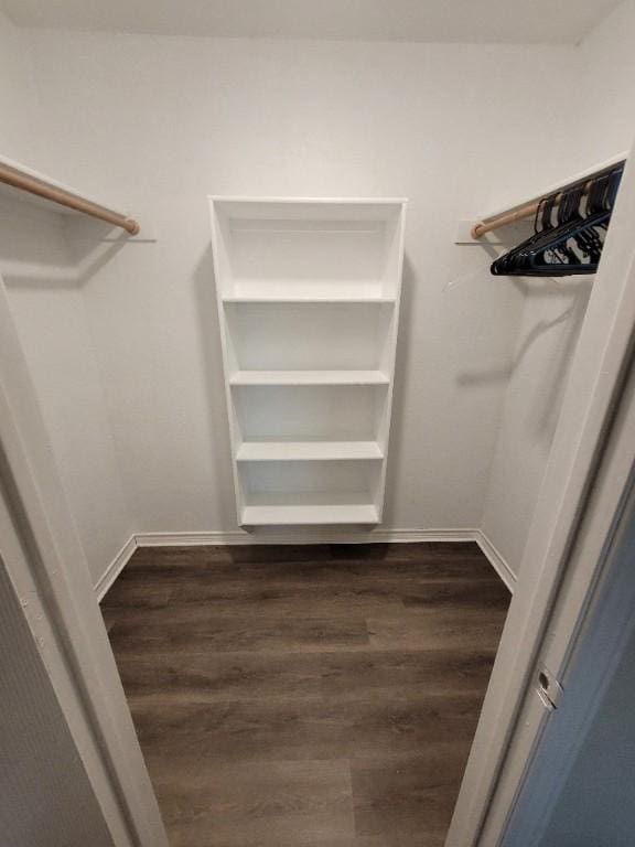 spacious closet with dark wood-type flooring