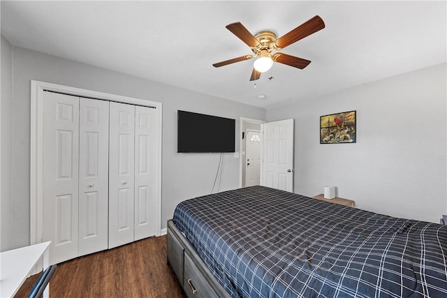 bedroom with ceiling fan, dark wood-style flooring, and a closet