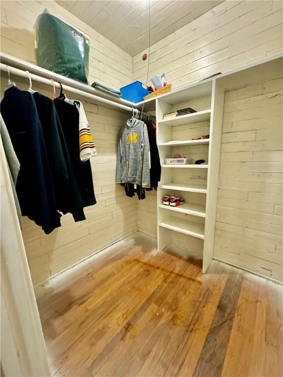 spacious closet with hardwood / wood-style floors