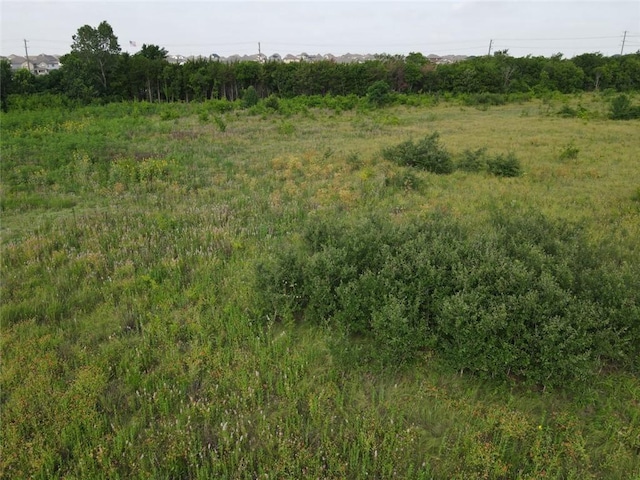 view of local wilderness featuring a rural view