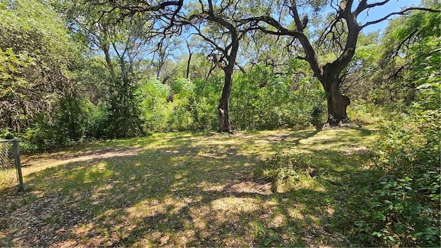 view of local wilderness