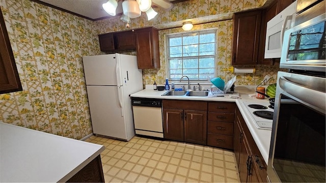 kitchen with dark brown cabinets, ceiling fan, sink, and white appliances