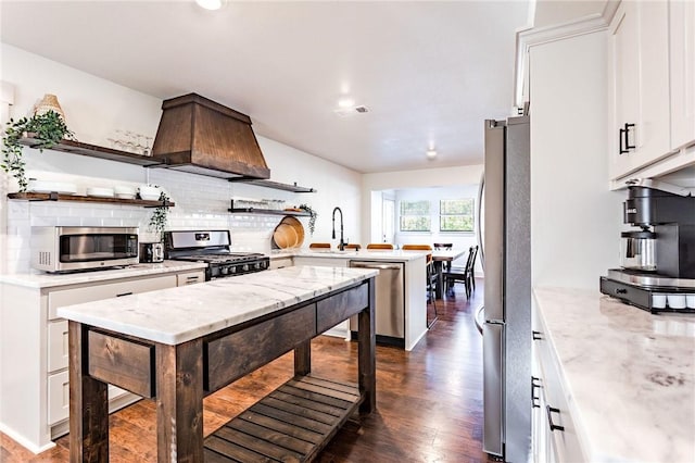 kitchen with custom exhaust hood, decorative backsplash, dark hardwood / wood-style flooring, white cabinetry, and stainless steel appliances