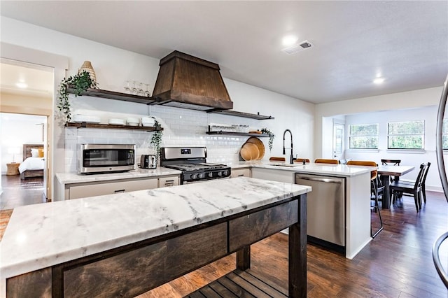 kitchen with custom exhaust hood, backsplash, sink, appliances with stainless steel finishes, and dark hardwood / wood-style flooring