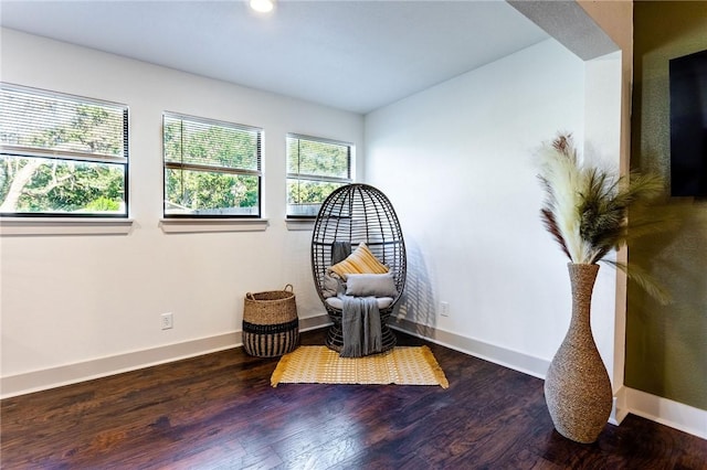 living area with dark hardwood / wood-style flooring