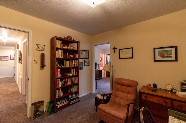 sitting room featuring carpet and a textured ceiling