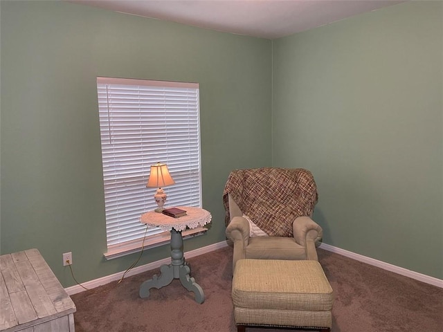 sitting room with carpet