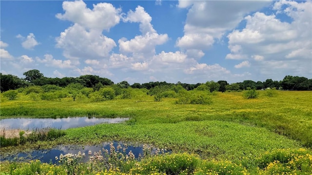 view of nature with a water view