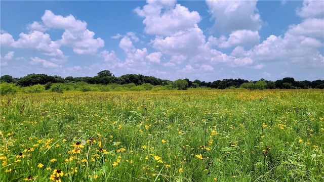 view of local wilderness featuring a rural view