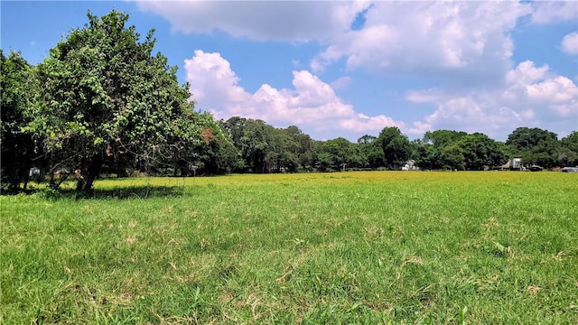 view of local wilderness featuring a rural view