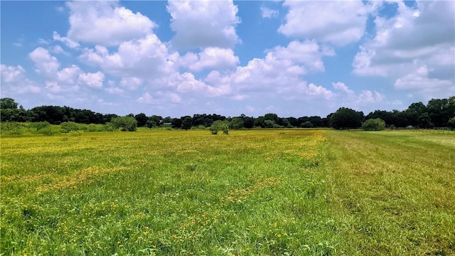 view of nature with a rural view