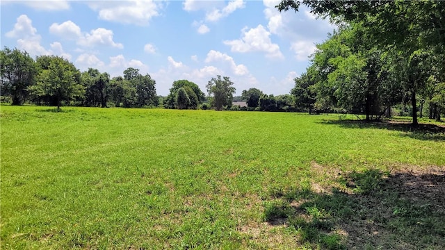 view of local wilderness featuring a rural view