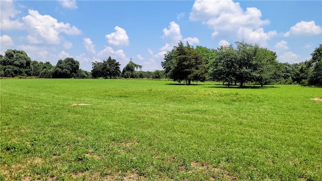 view of yard with a rural view