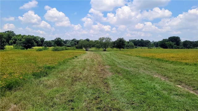 view of landscape featuring a rural view