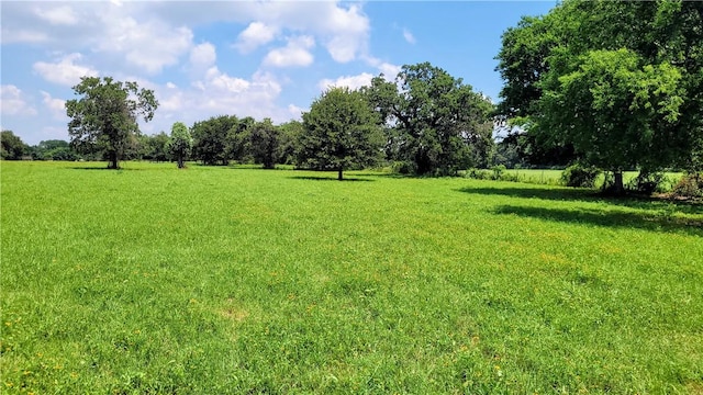 view of yard featuring a rural view