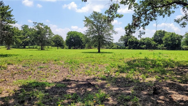 view of yard with a rural view