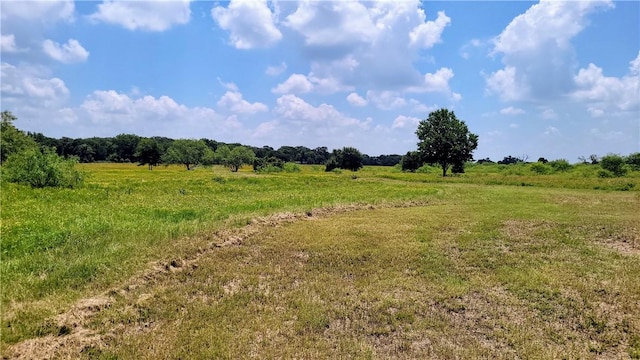 view of local wilderness with a rural view