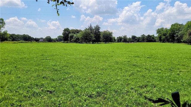 view of yard with a rural view