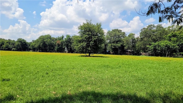 view of yard with a rural view