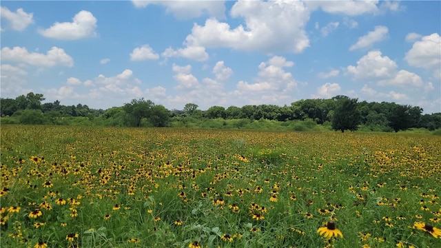 view of landscape featuring a rural view