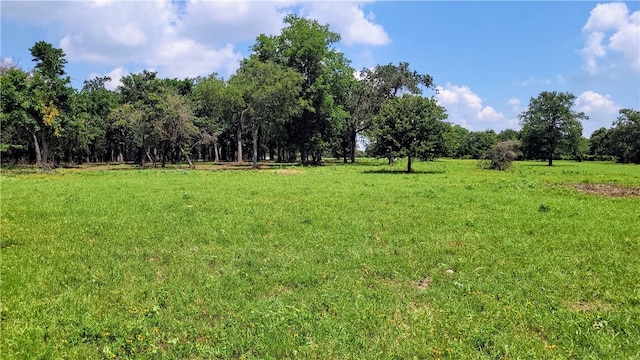 view of yard featuring a rural view