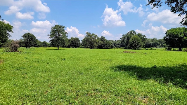 view of local wilderness featuring a rural view