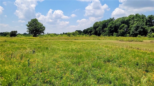 view of landscape featuring a rural view