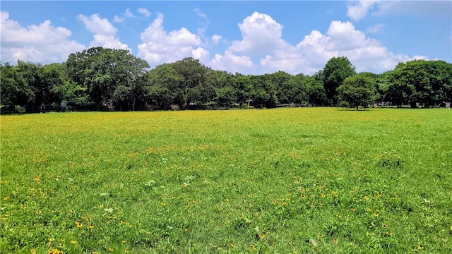 view of yard featuring a rural view