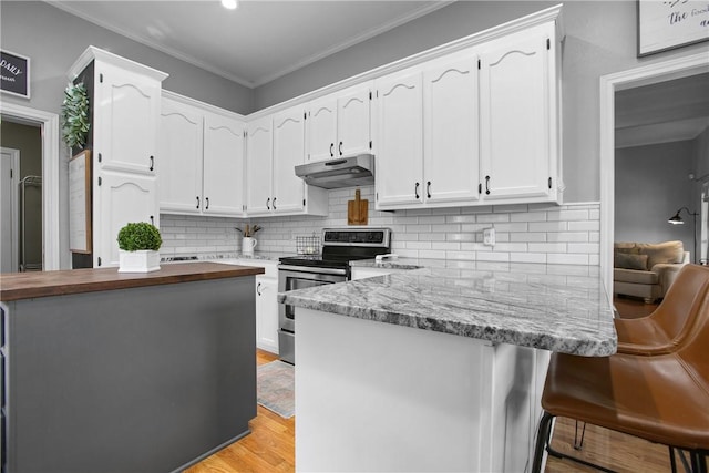 kitchen with light stone counters, stainless steel electric range, light hardwood / wood-style floors, decorative backsplash, and white cabinets