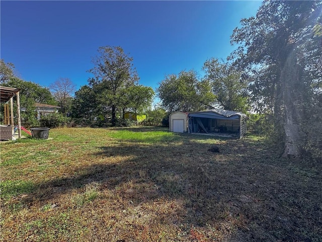 view of yard with a storage unit