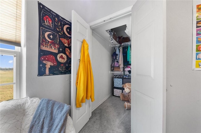 walk in closet featuring carpet floors