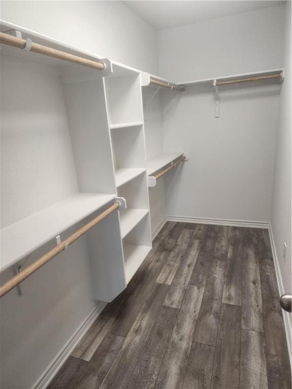 walk in closet featuring dark hardwood / wood-style flooring