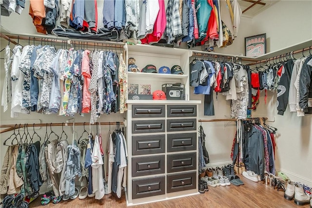 walk in closet featuring hardwood / wood-style flooring