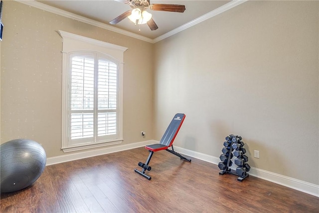 exercise room with crown molding, hardwood / wood-style floors, and ceiling fan