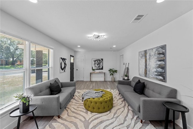 living room featuring hardwood / wood-style floors