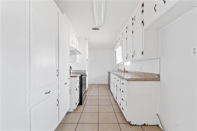 kitchen featuring white cabinetry, sink, black electric range, and decorative backsplash