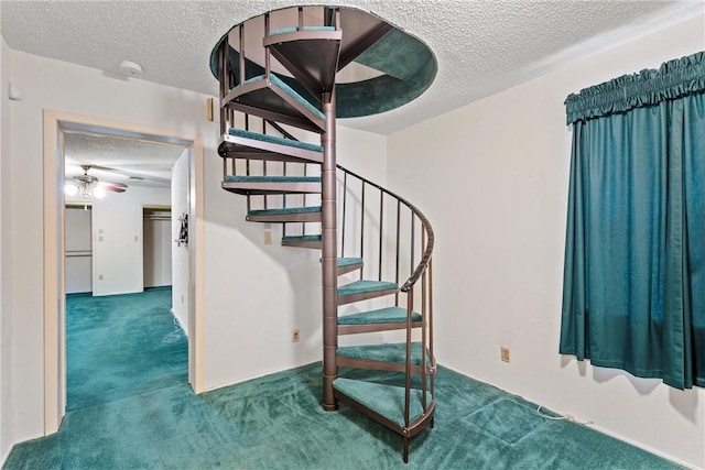 stairs featuring carpet flooring, ceiling fan, and a textured ceiling