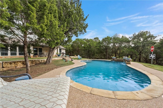 view of swimming pool with a patio