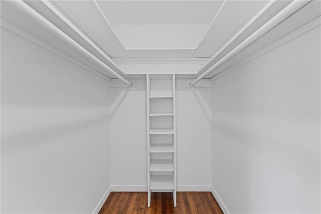 spacious closet with dark hardwood / wood-style floors