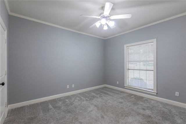 empty room with ceiling fan, carpet floors, and crown molding