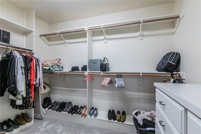 view of walk in closet