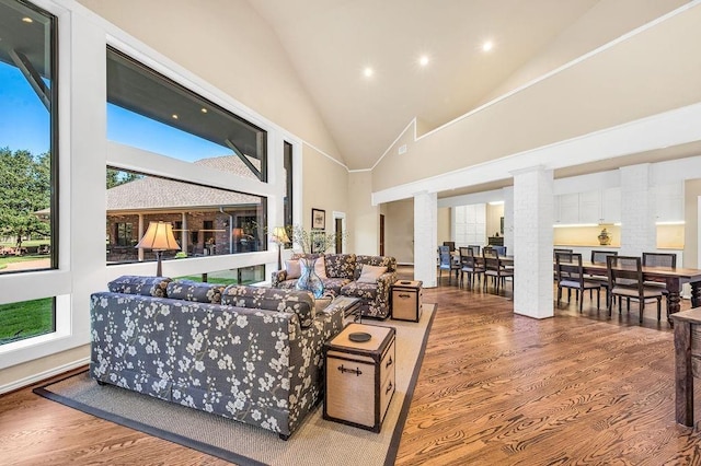 living room featuring hardwood / wood-style floors and high vaulted ceiling