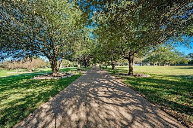 view of property's community with a yard