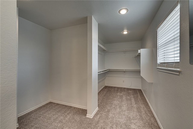 walk in closet featuring light carpet